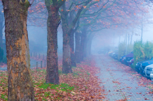 Fit in den Herbst