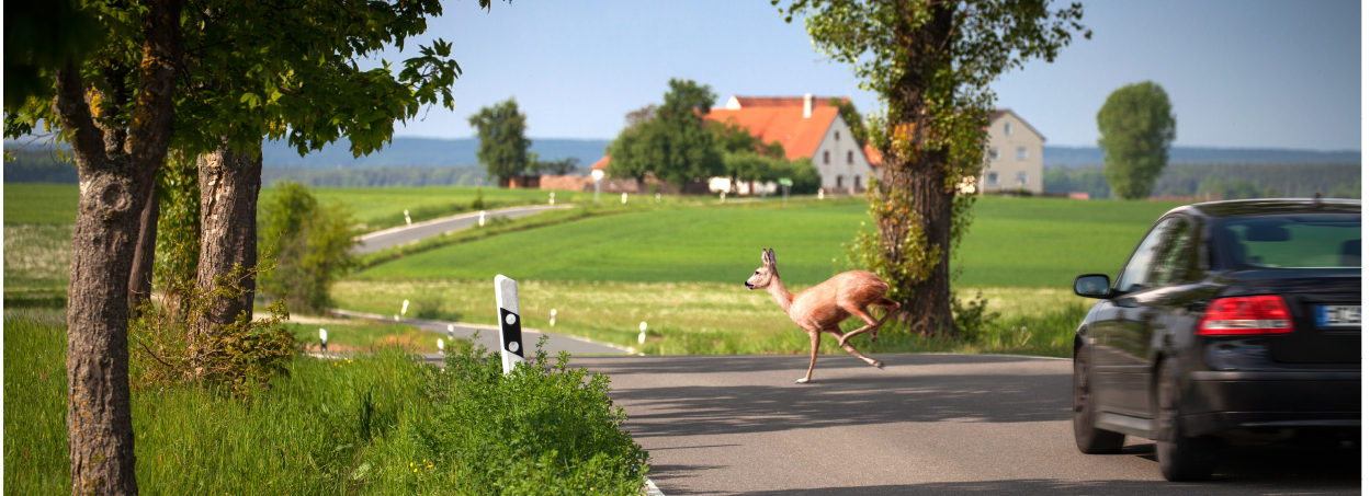 Zeitumstellung